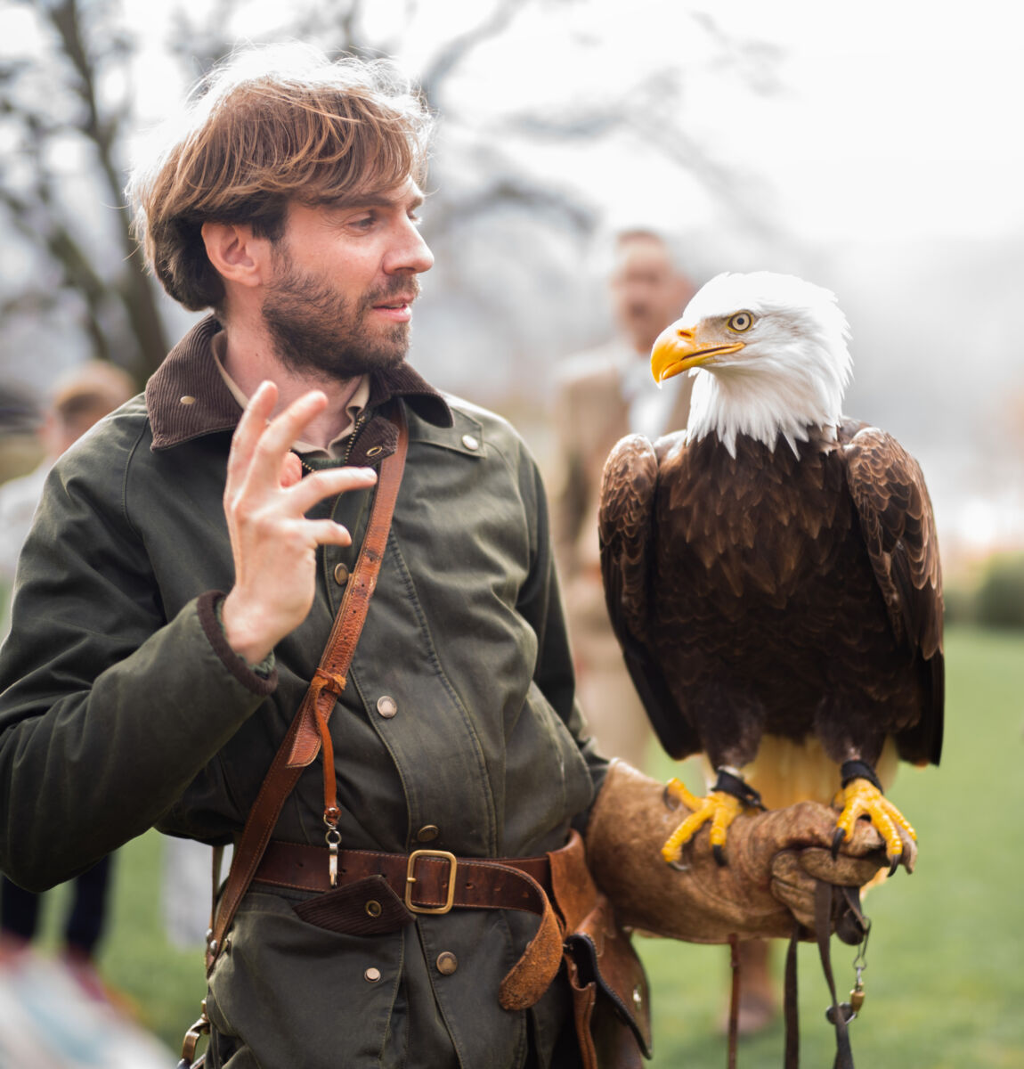 00 landing falconry desktop
