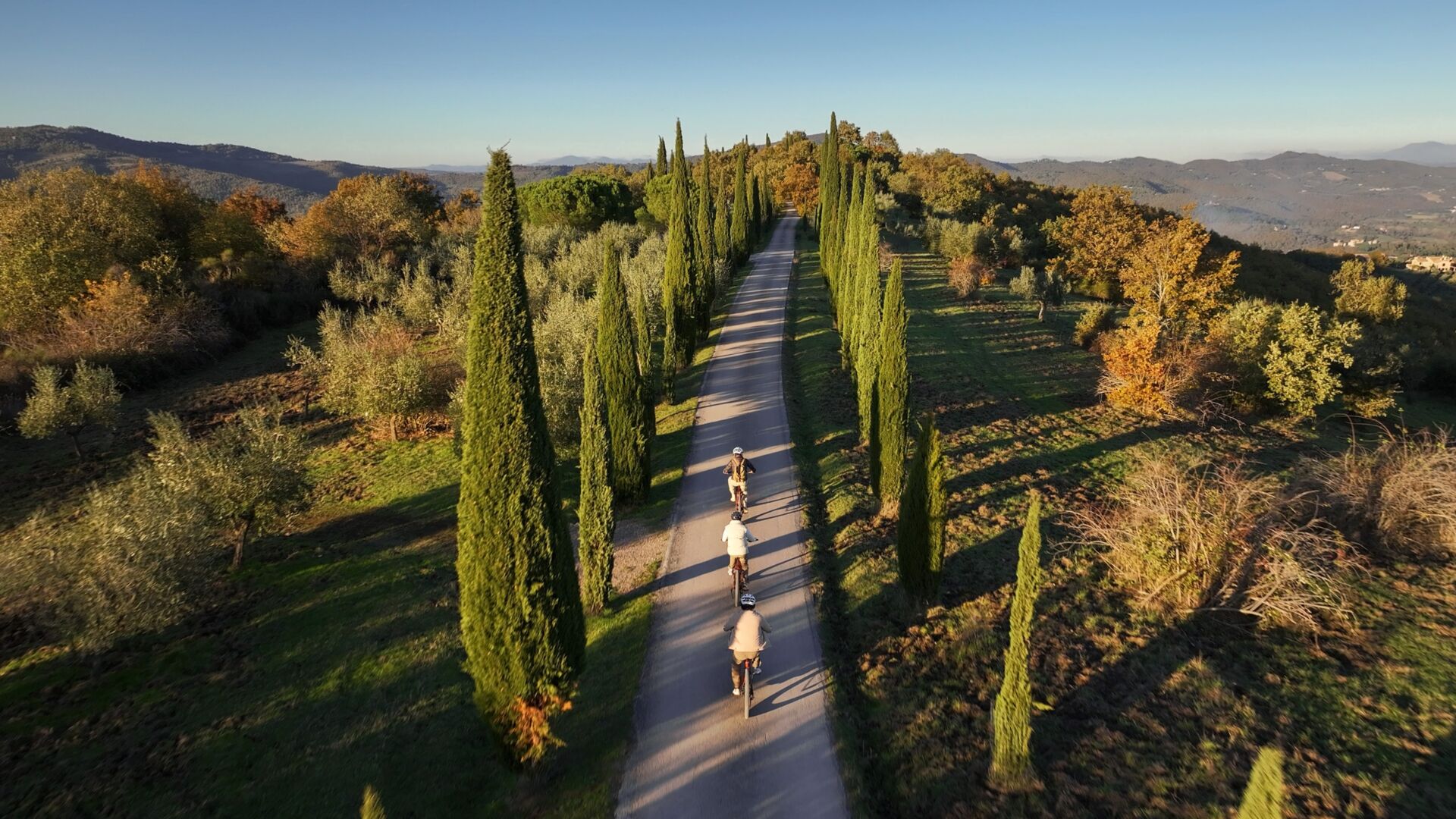 00 landing full sports desktop