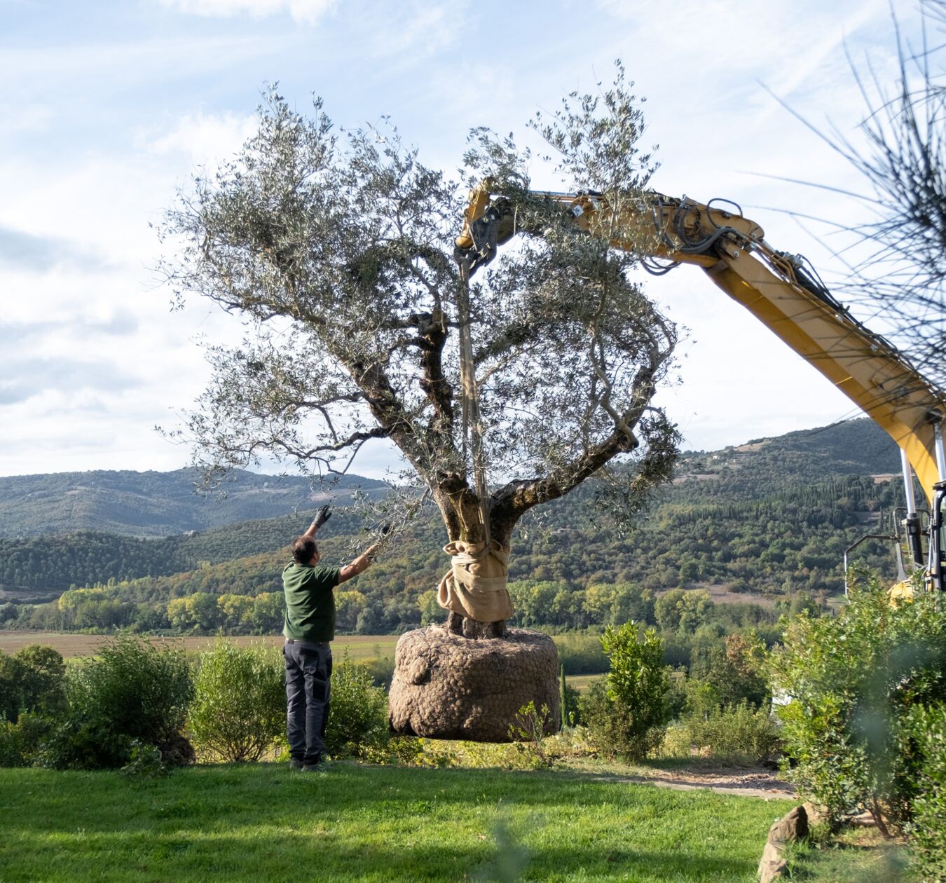 01 image text big landscape desktop