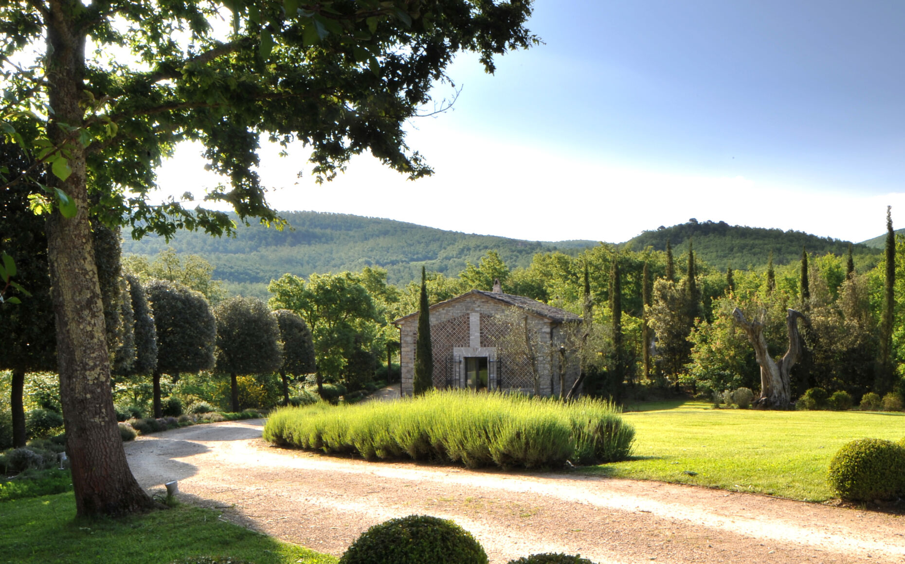 01 image text overlay 1 arrighi desktop