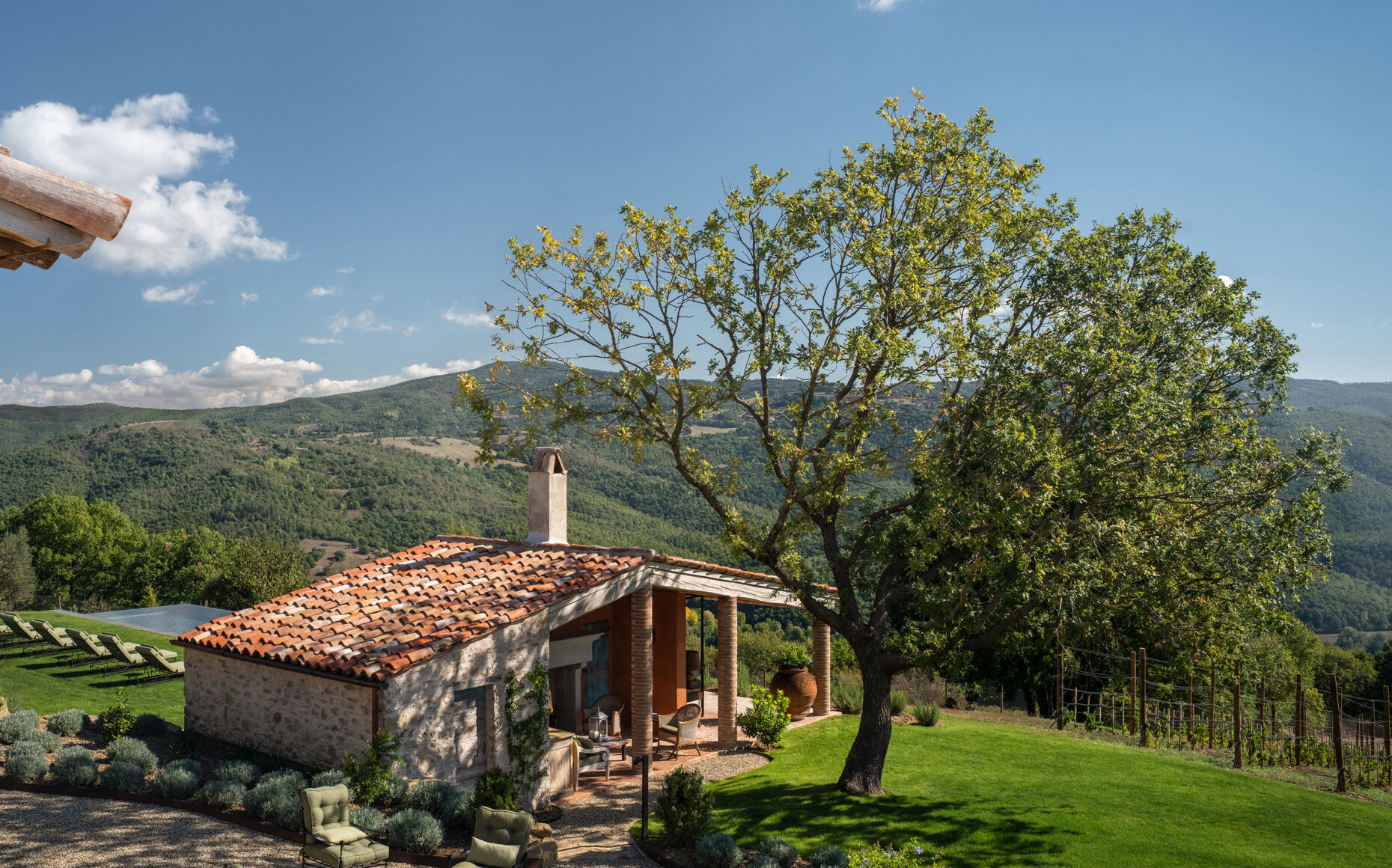 01 image text overlay 1 cercoschene desktop