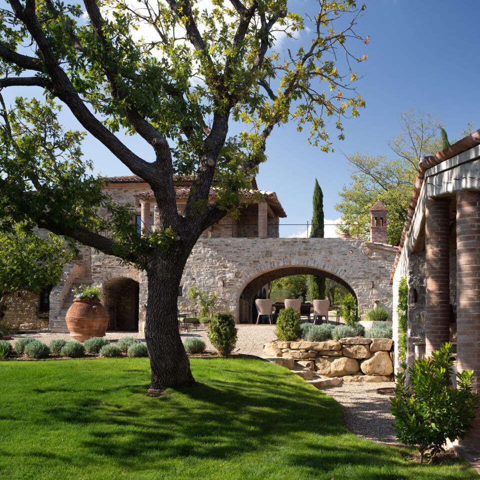 02 image double 50 50 cercoschene 2