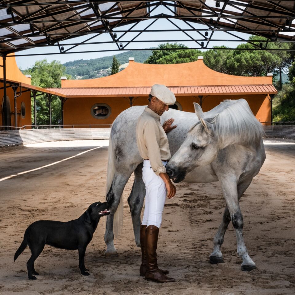 02 image double 50 50 horses 1