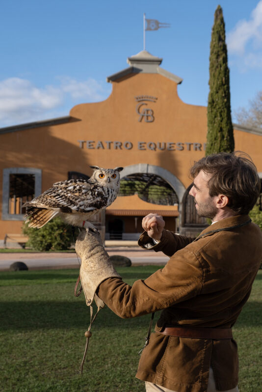 03 falconry gallery