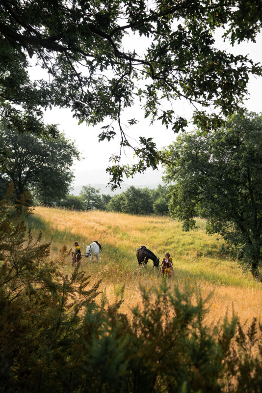 03 gallery plan ahead houses march