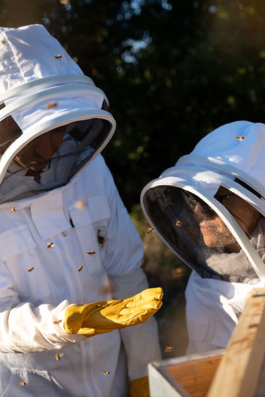 03 queen bee gallery