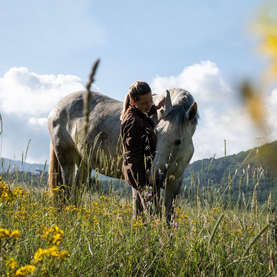 05 image double 50 50 horses 2