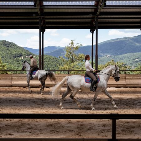 06 image text SMALL double media training