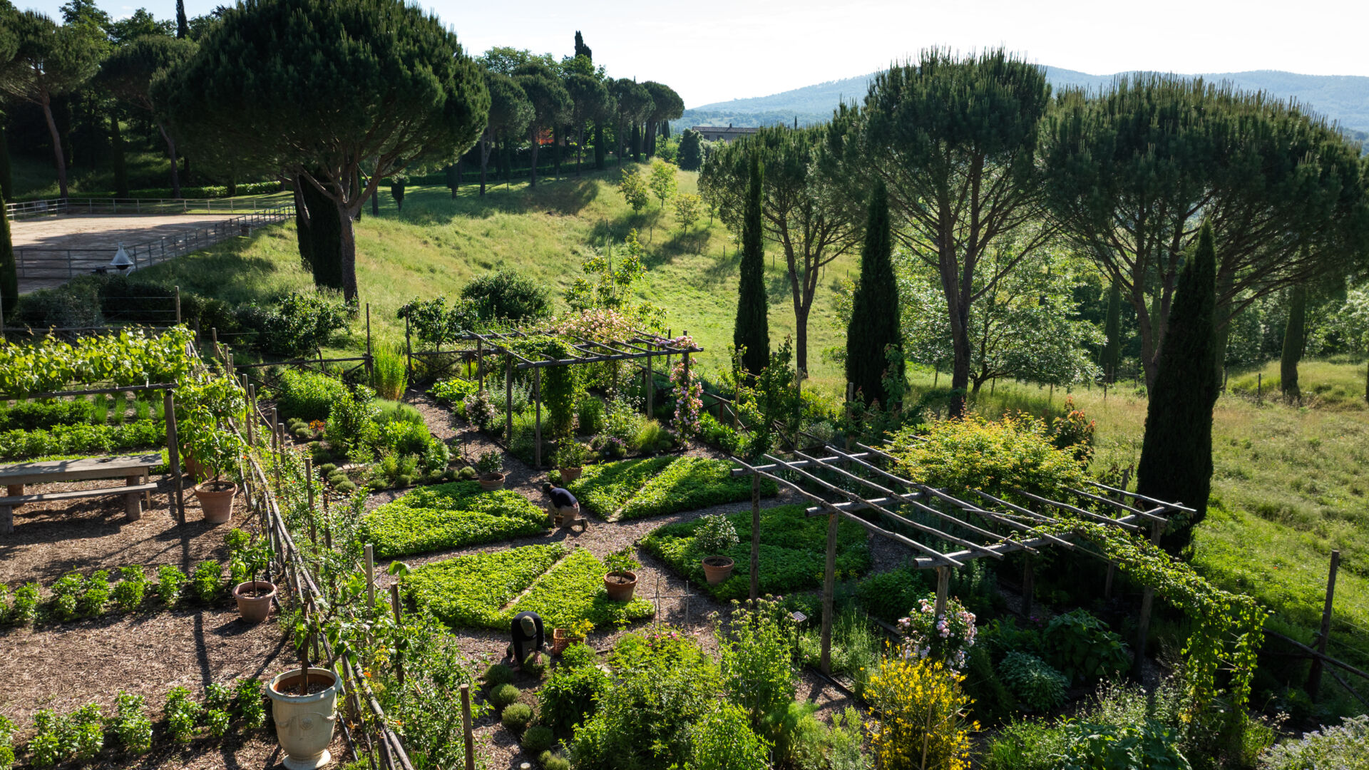 07 orto kitchen image full desktop