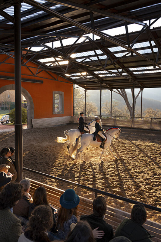 12 2025 05 22 150612 psfb