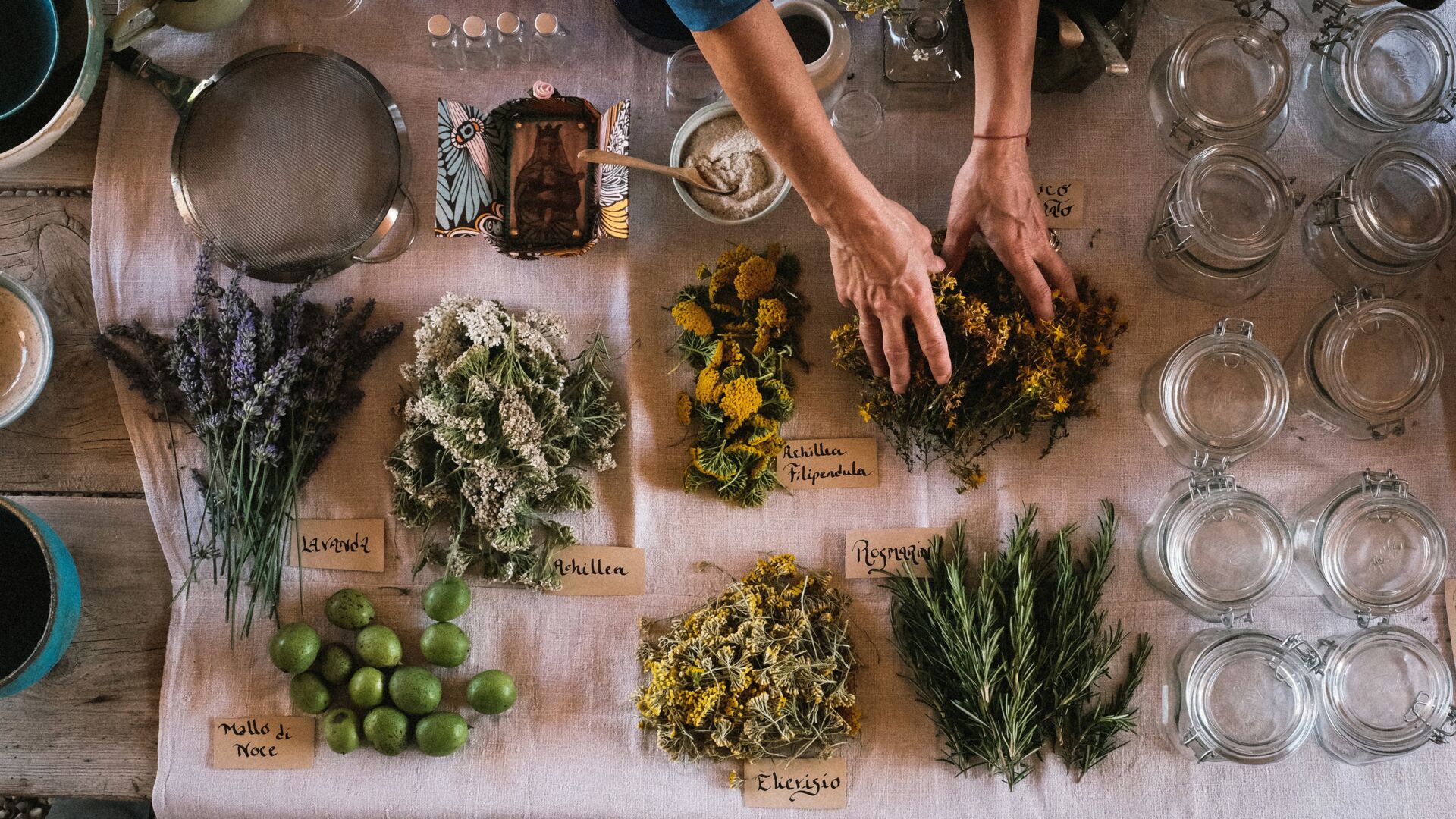 13 image scale full foraging desktop