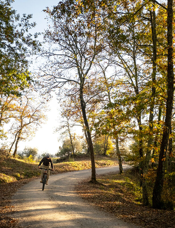 13 2025 09 26 083040 ndje