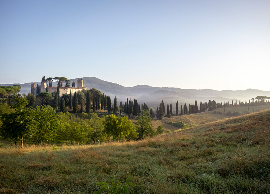 1 2024 08 02 081901 wlpt