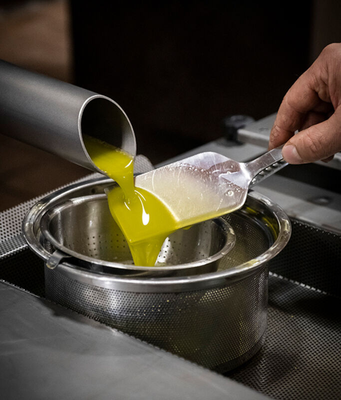 1 2024 11 27 092713 ujed