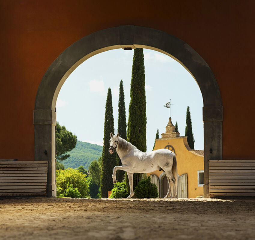 1 2025 05 22 150352 qzqe