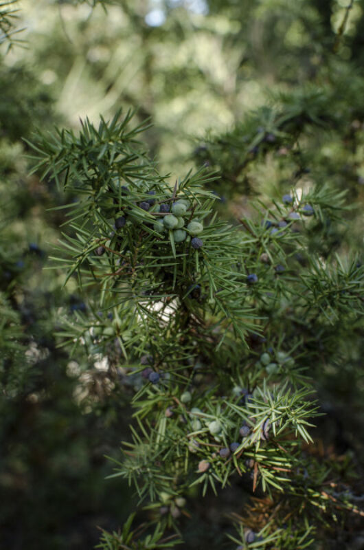 2 2024 04 29 104300 mtgx