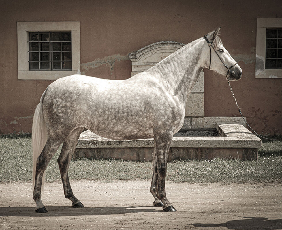 2 2025 05 22 150355 hdmr