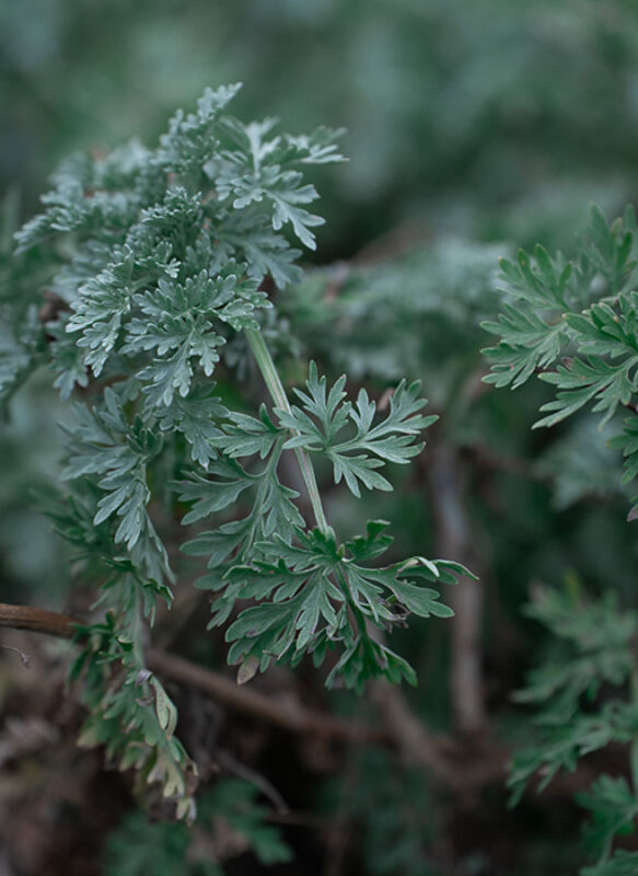 3 2025 03 03 143129 hwrq