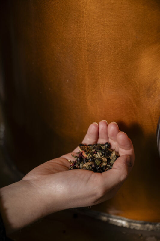 5 2024 04 29 104516 zisv