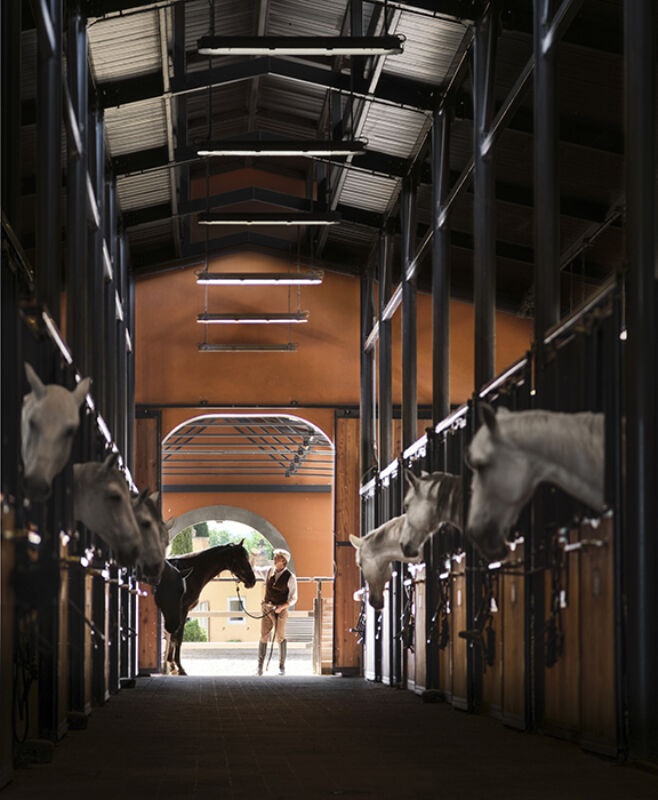 5 2025 05 22 150411 wgtm