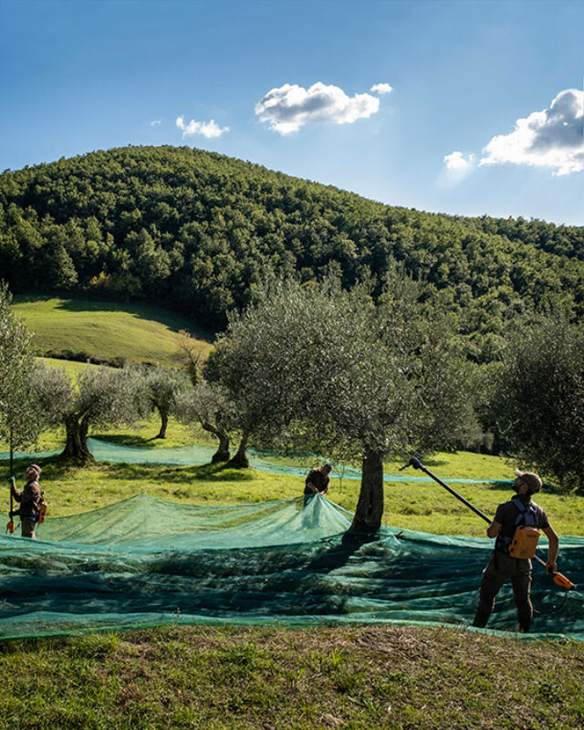 6 2025 09 26 083012 eaph