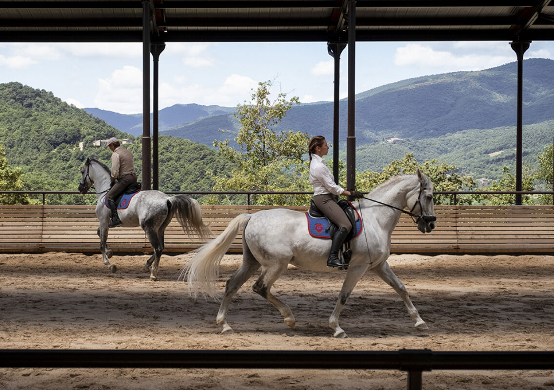 7 2025 05 22 150419 ylvf