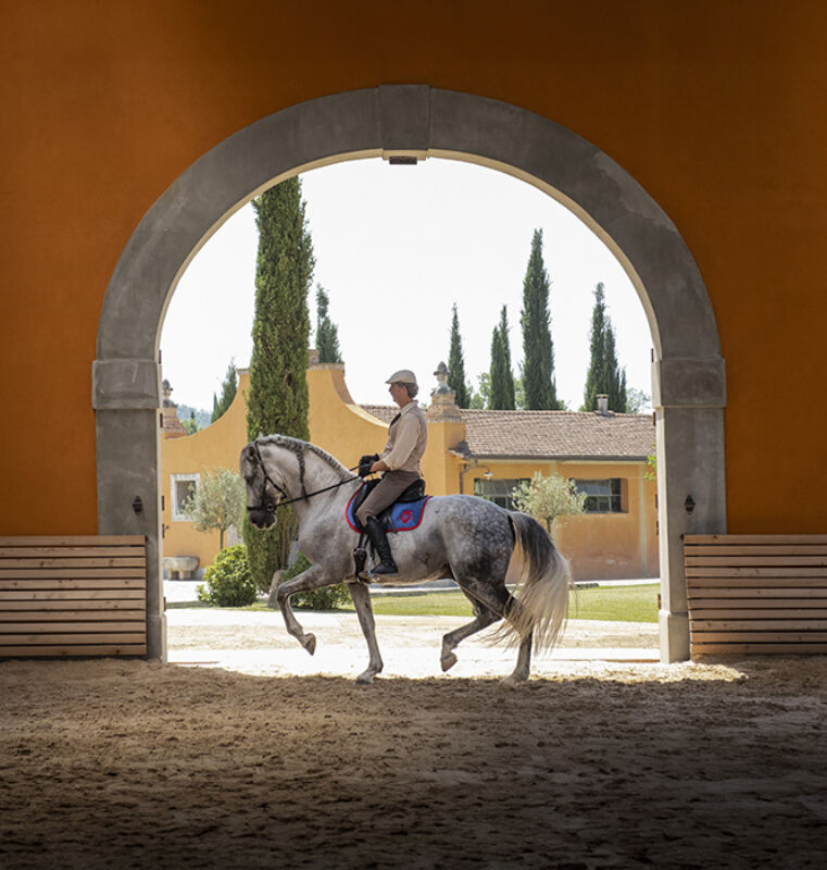 8 2025 05 22 150423 jmrv