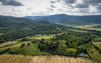 Copertina 1920 x 1080 px TWL giugno 2024 2024 05 31 145320 xmsz