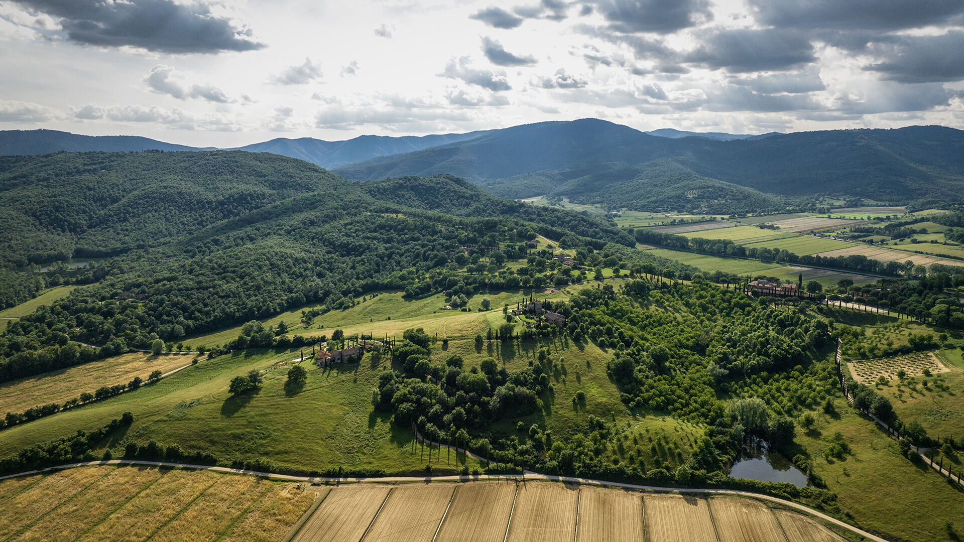 Copertina 1920 x 1080 px TWL giugno 2024 2024 05 31 145320 xmsz