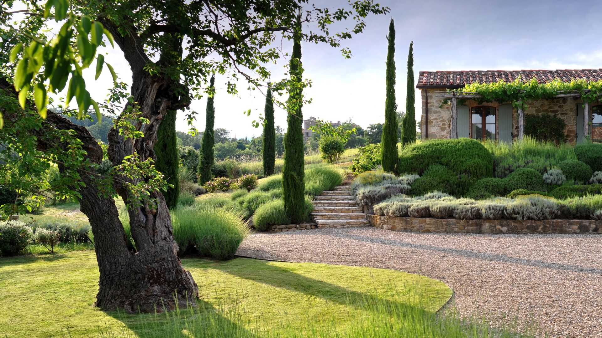 Cover video landscape desktop