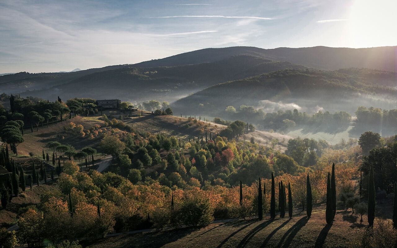 December 2020 horizontal 17