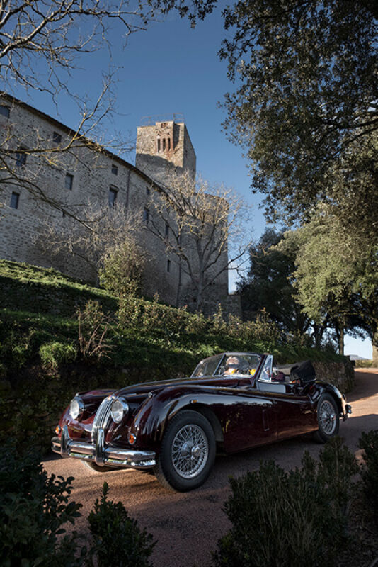 February 2021 twl horizontal 3