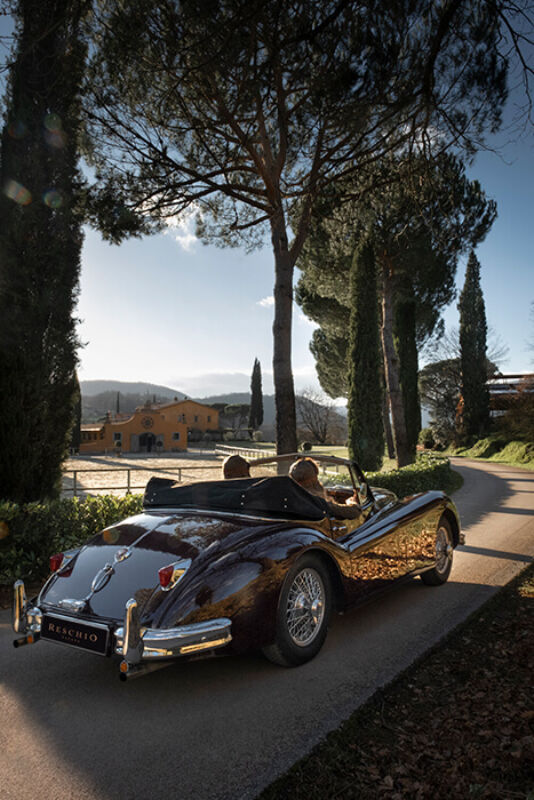 February 2021 twl horizontal 5