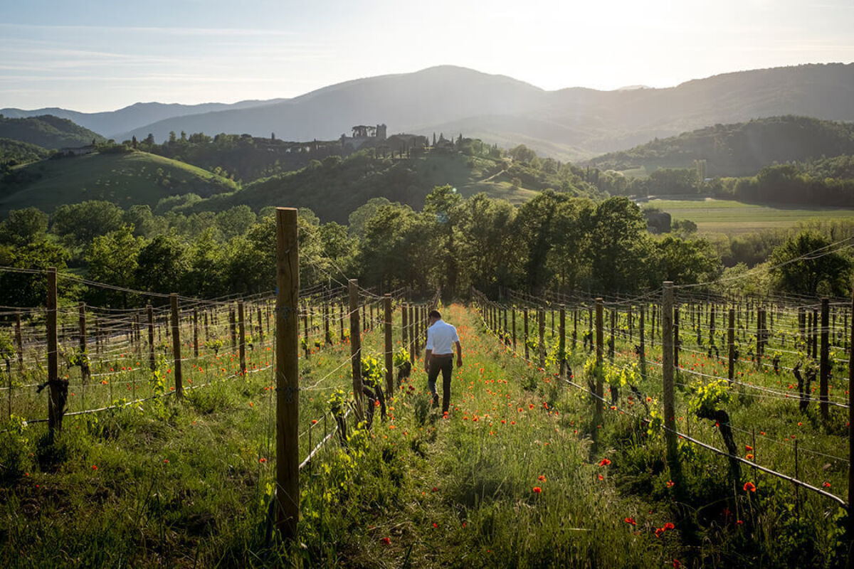 February horizontal 12