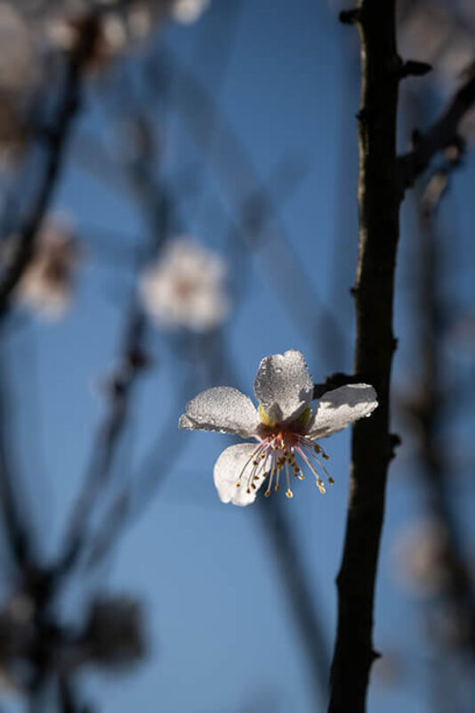 February horizontal 4