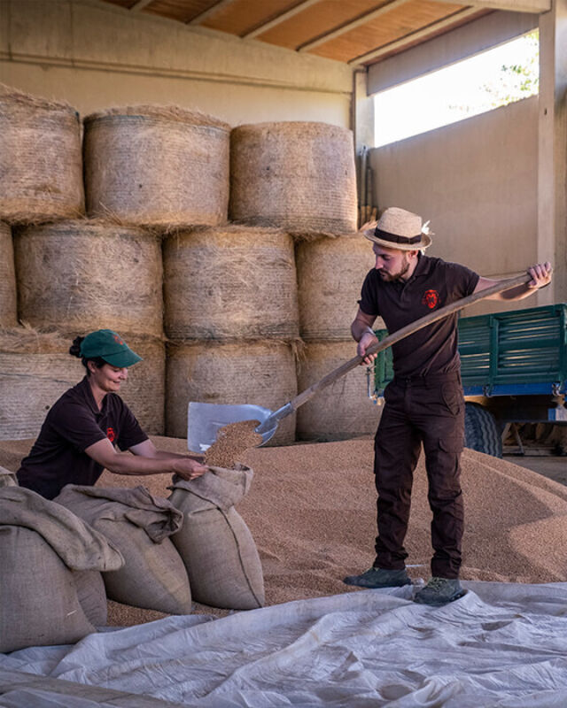 Horizontal september 2021 7