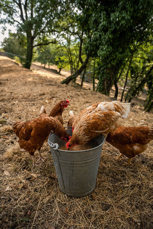 Horizontal september 2021 13