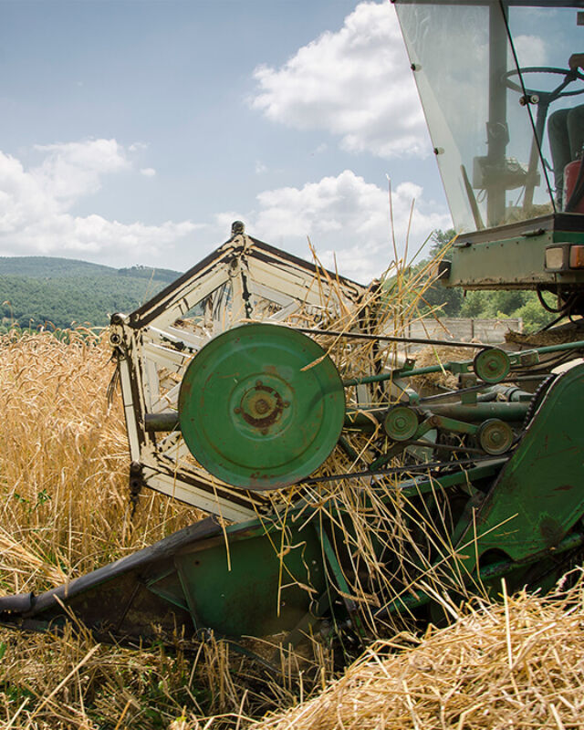 Horizontal september 2021 3