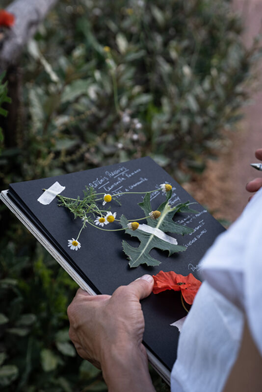 July 2021 horizontal 7