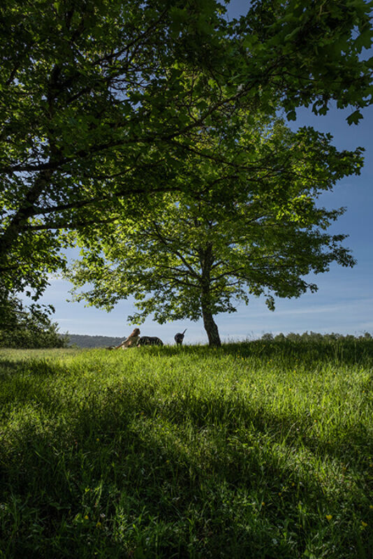 June 2021 horizontal 1