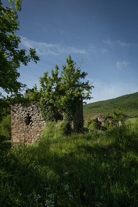 June 2021 horizontal 2