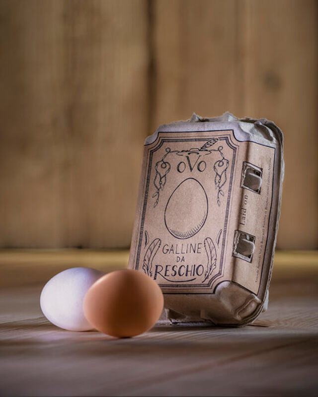 June 2022 horizontal 13