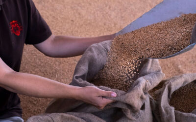 Landing september 2021 x2