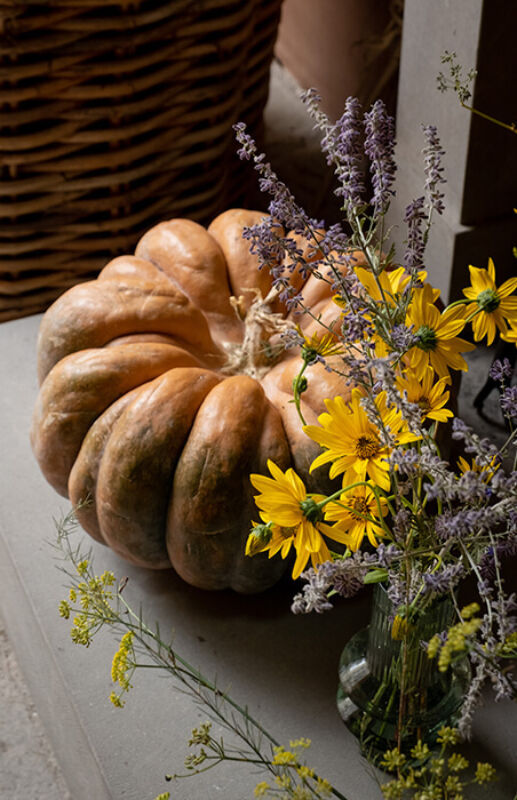 March 2023 horizontal 6 2023 02 23 152259 mzwe