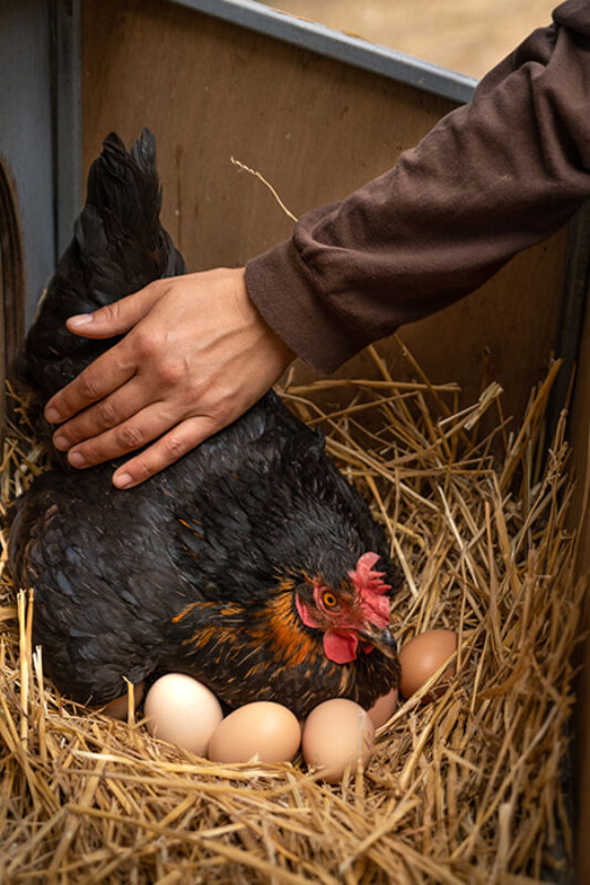 May 2022 horizontal 10