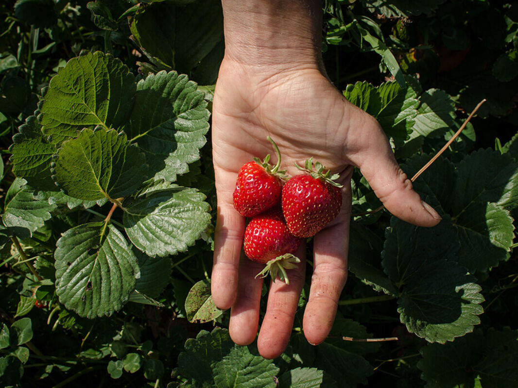 May 2022 horizontal 15