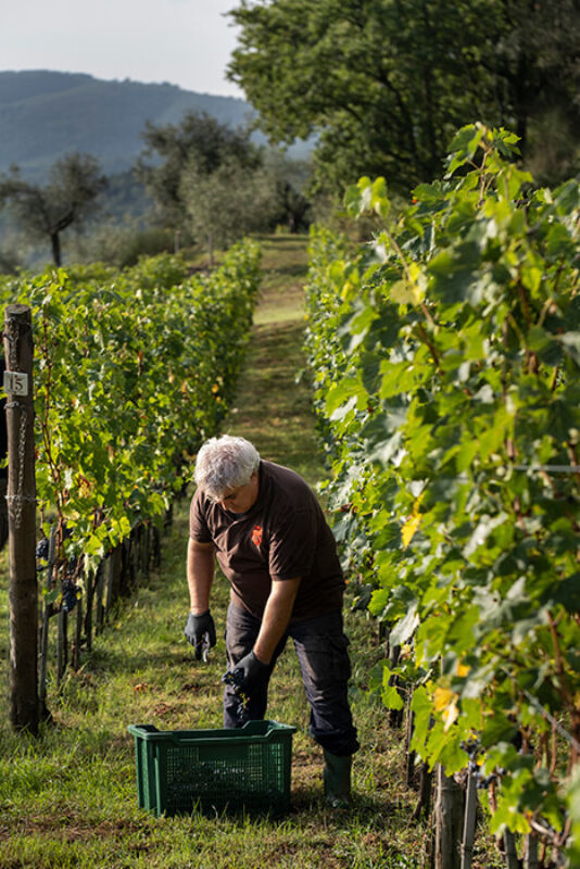 October 2020 gallery 7