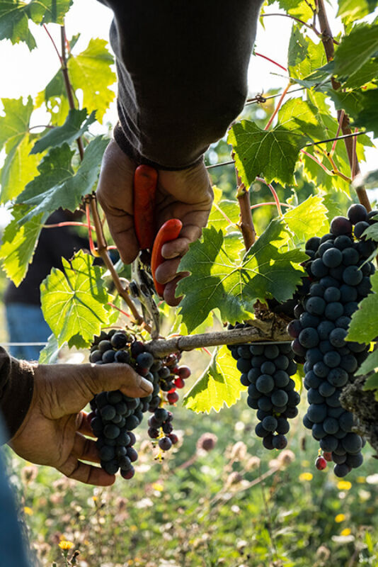 October 2020 gallery 1