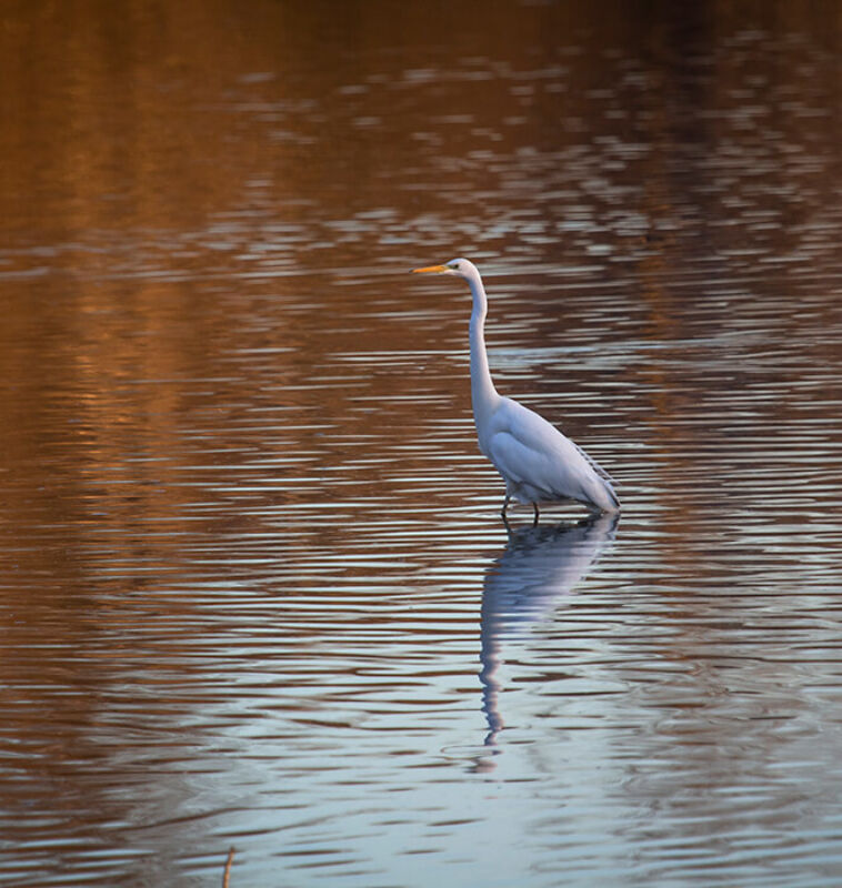 October 2022 horizontal 6