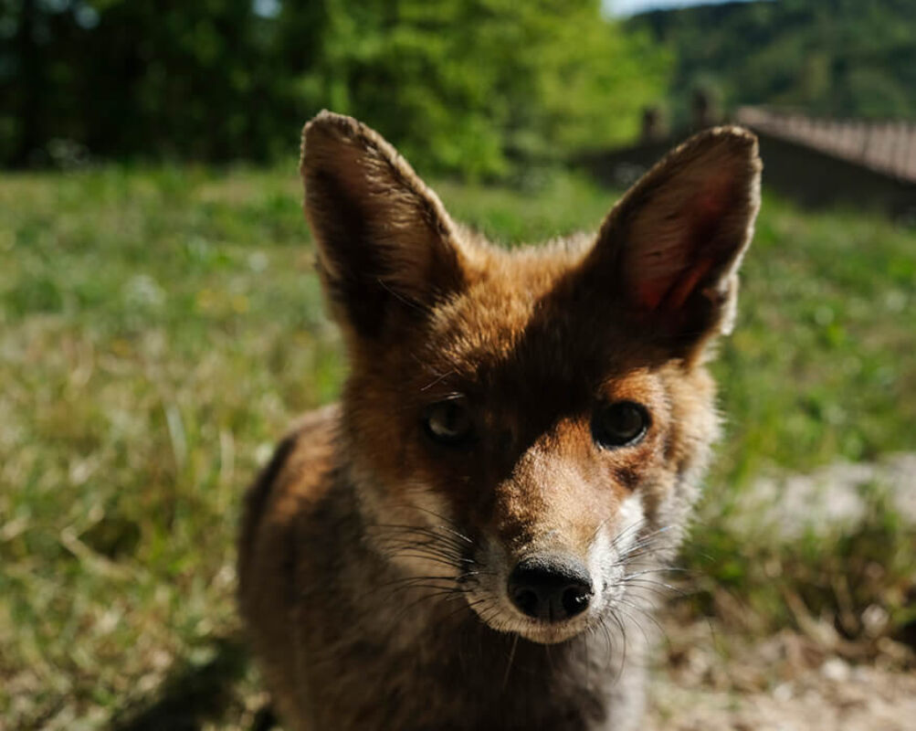 October 2022 horizontal 1 221004 082031